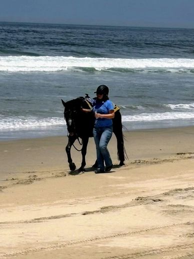 Horseback trail ride in San Diego, California
Beautiful scenery trail ride
Beach ride
Horseback