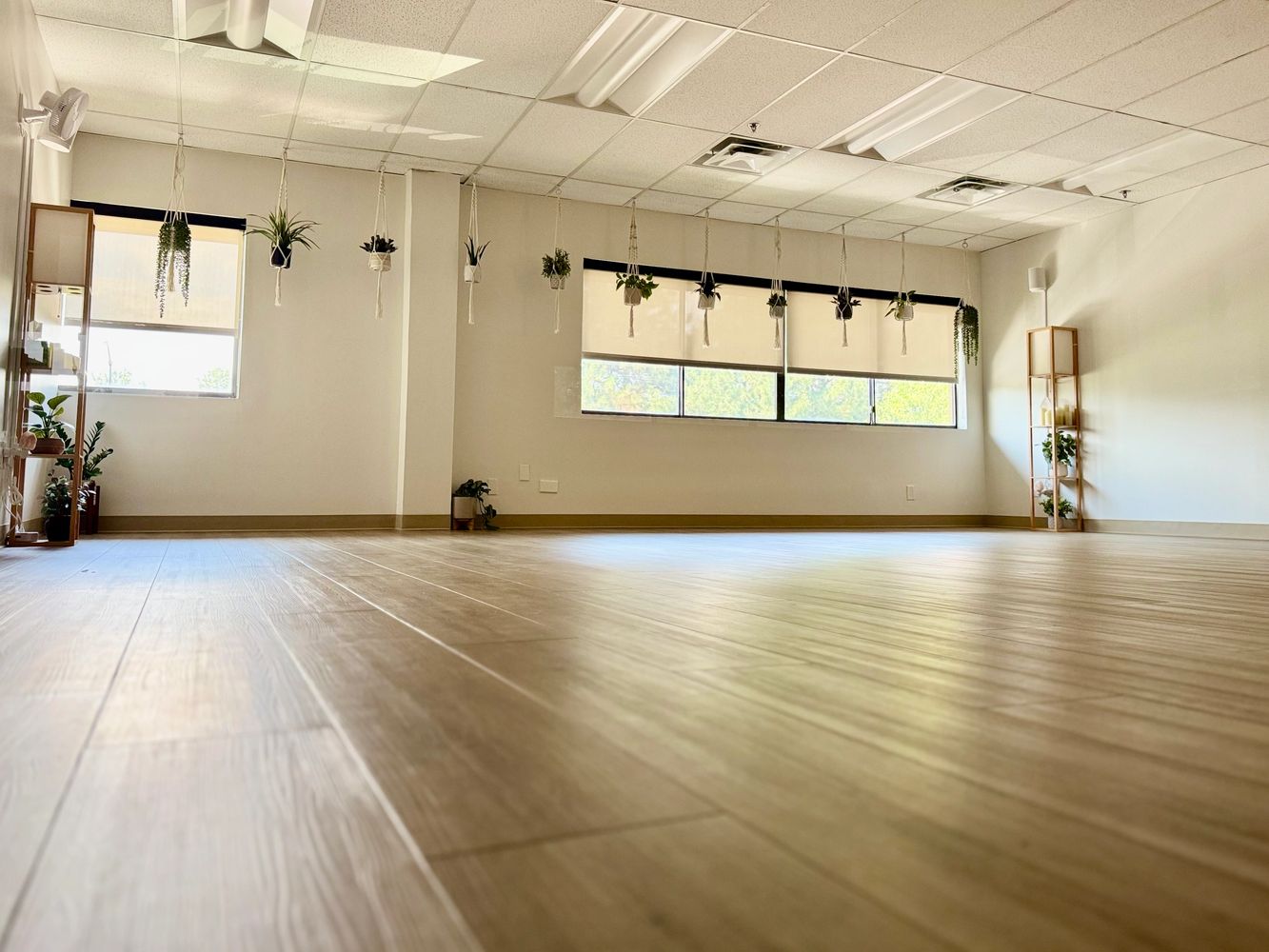 Sunlit empty room with wooden floor and hanging plants by the windows.
