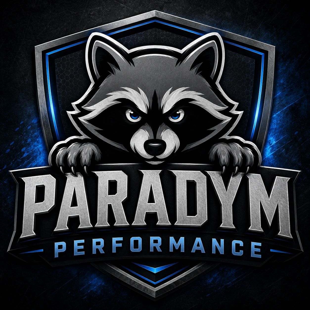 Paradym Performance - Auto window tinting service in Jacksonville
