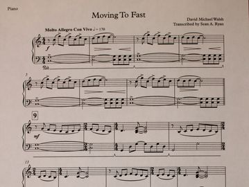 Moving To Fast track 14  of the CD, Castle of Dreams Acoustic Solo Piano by David Michael Walsh is a