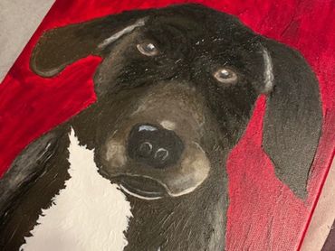 Chocolate dog with chocolate eyes. White patch of fur down the chest.