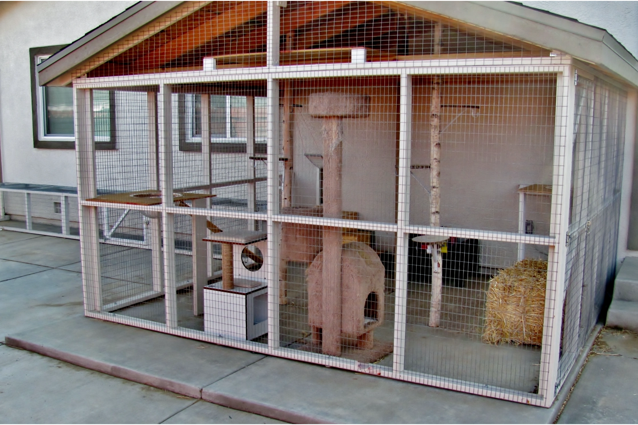 Large cat enclosure with a tunnel connecting a second catio. By Catios Reno.