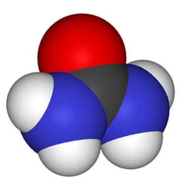 Urea in Chemical Form