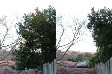 Gardening Toowoomba