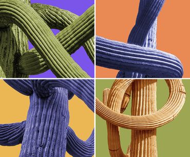 "4 Arms" by Anne Brown