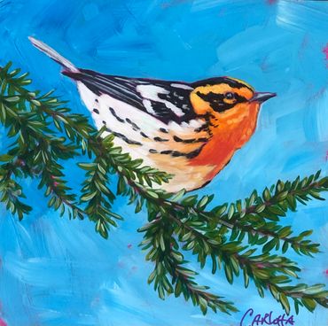"Warbler" by Carlotta Brandenburg