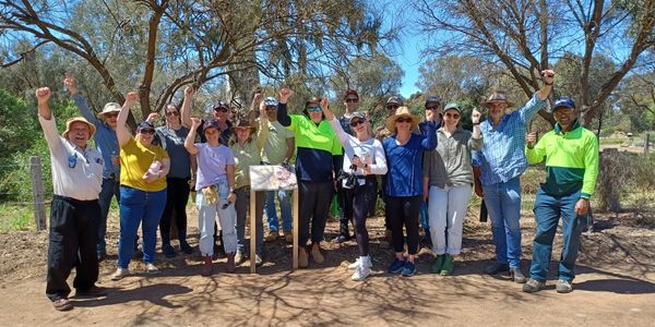 Corporate Volunteering Day 2023 with employees from Treasury Wine Estate Barossa. 
