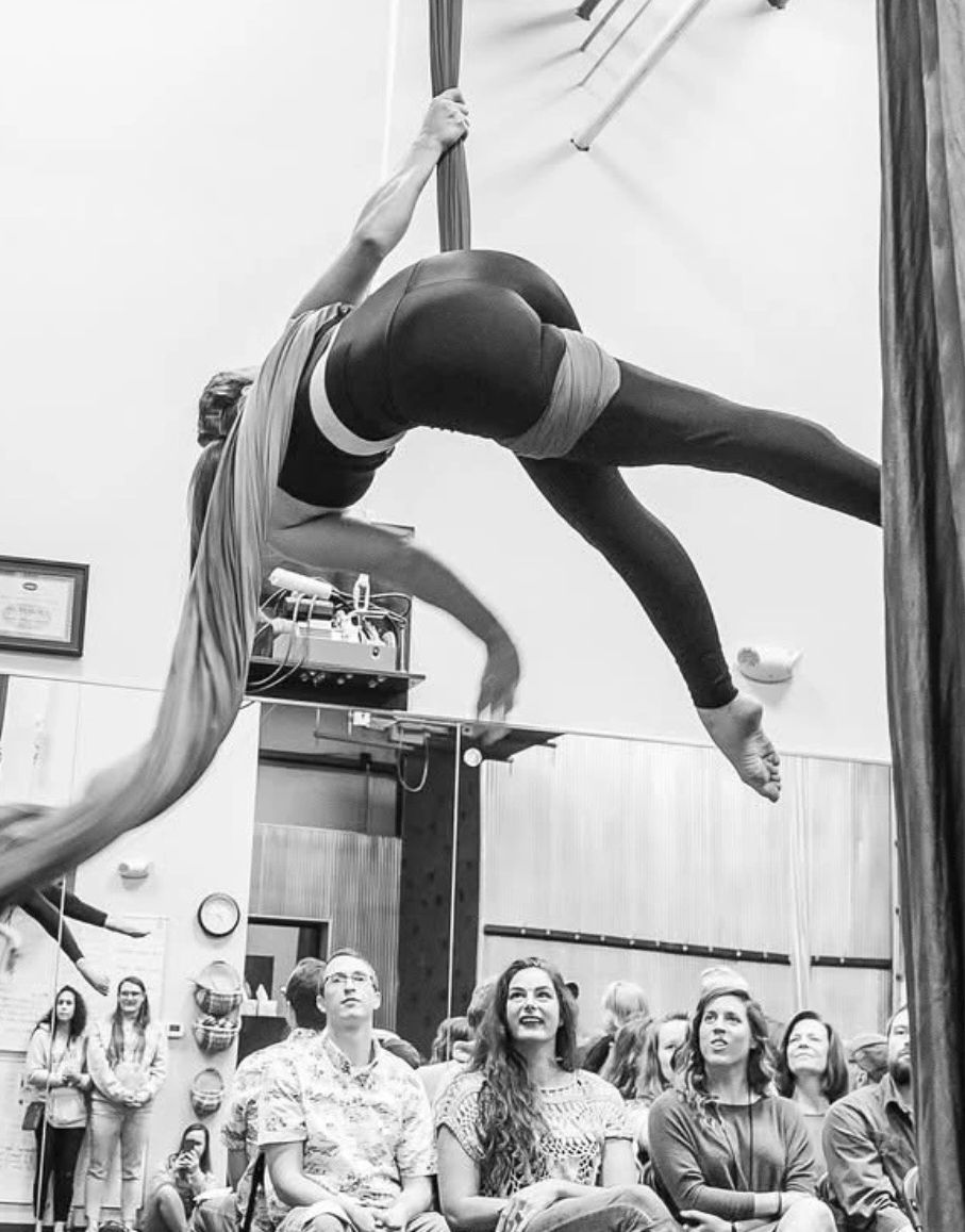 Person performing aerial silk acrobatics in front of an audience.