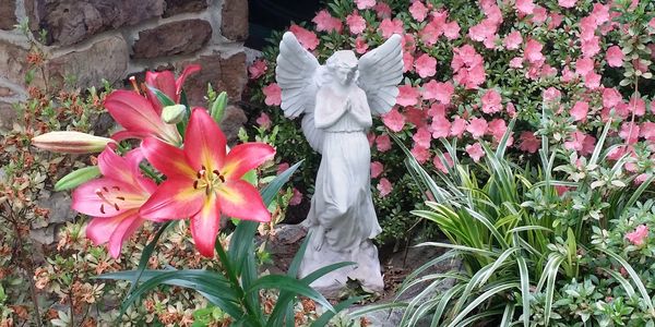 angel; lillies; resolve