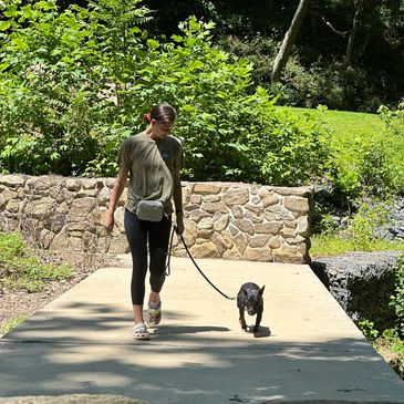 Woman walking her dog on a sunny path surrounded by greenery. Dog Training in Harford county md