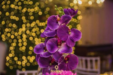 15 anos debutante casamento buffet no felicitá eventos salão de festa casa de festa manaus am