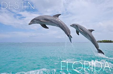 Crab Island Dolphin Cruises