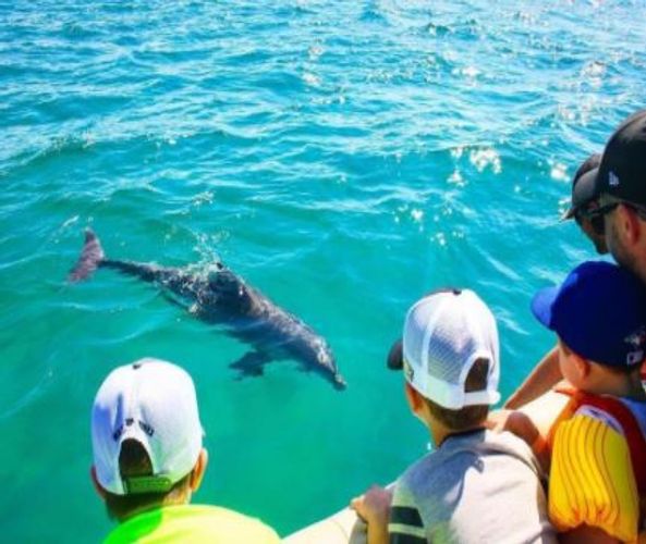 Crab Island Dolphin Cruises