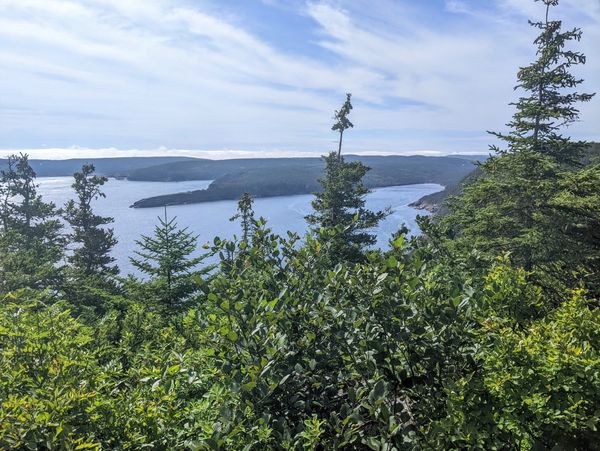 Overlooking the green coast of Newfoundland.