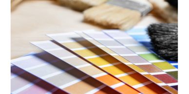 Expert Color Consultations