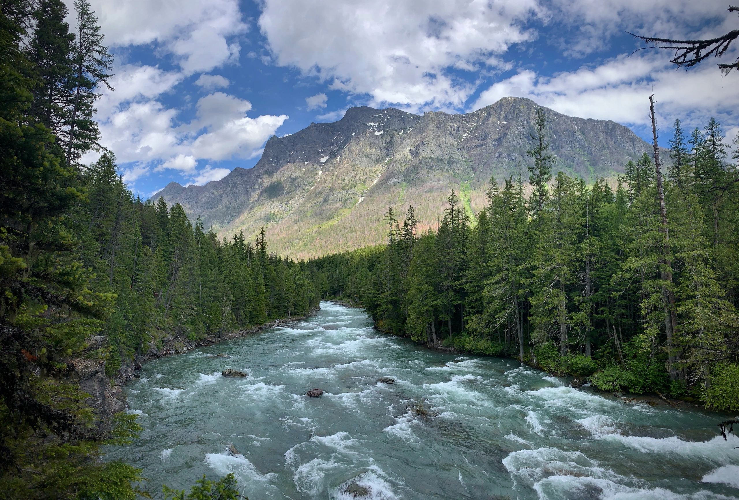 Glacier Haven Inn in Pinnacle, United States