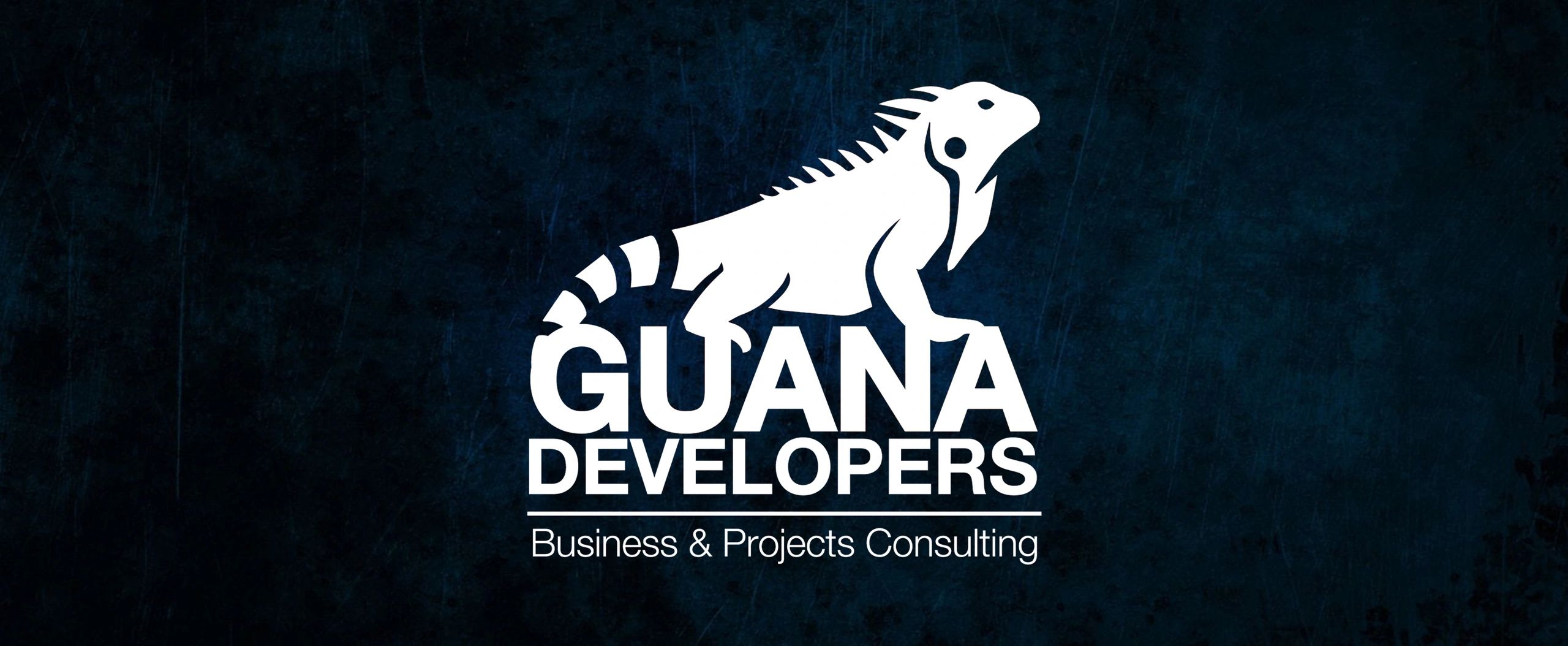 Guana Developers Business Consulting Project Management Operations Real Estate Property Costa Rica