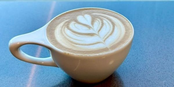 A cup of latte with beautiful leaf latte art on top.
