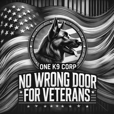 "Comprehensive services ensuring veterans get needed support."