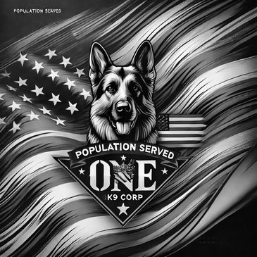 Loyalty and dedication to supporting veterans of all ages, genders, and backgrounds.