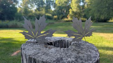 Metal maple leaf sculptures on a tree stump in a sunny park.