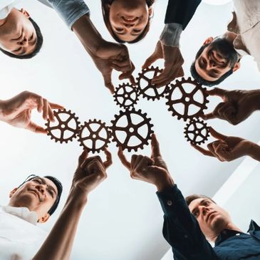 Experienced analysts and consultants at Jinma Research.