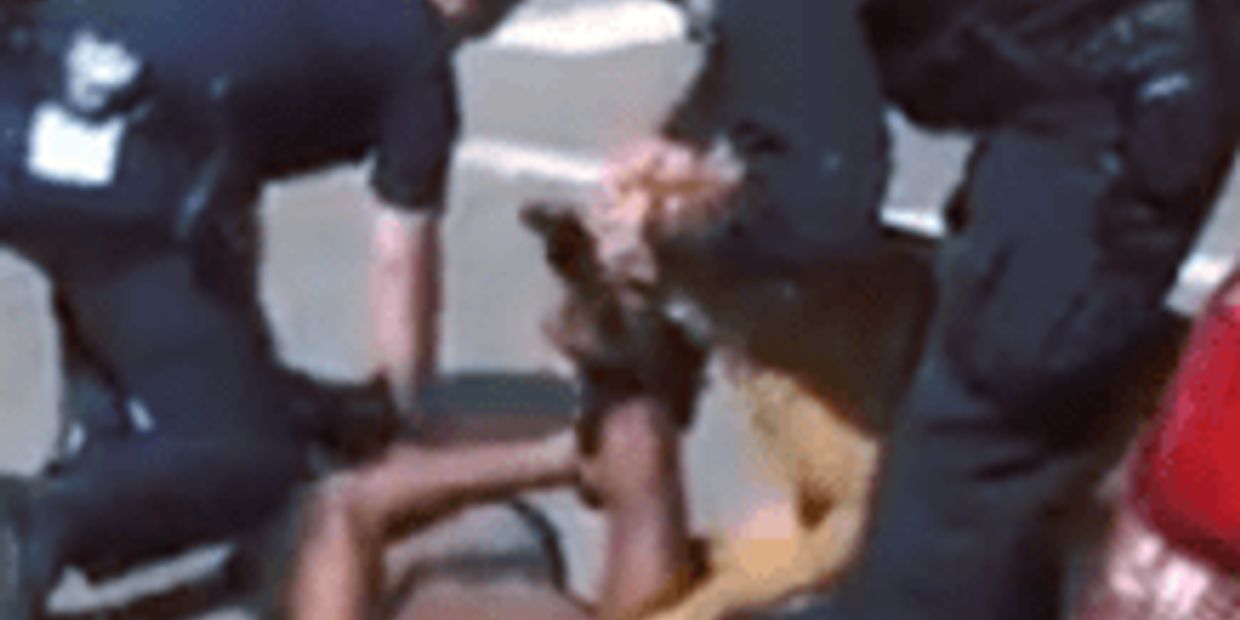 police, mauling, dog, black man, blm, anger, angry, police officers, cops, law enforcement