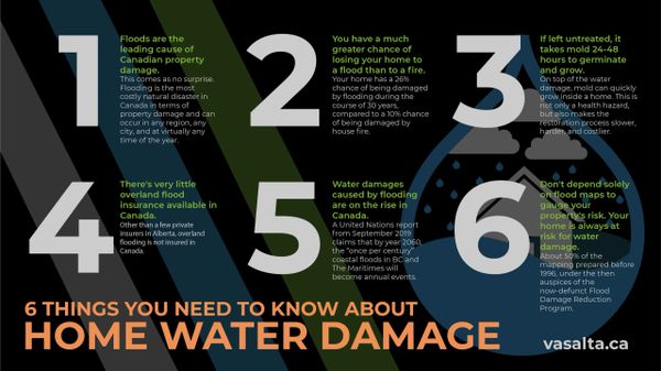 6 things every canadian needs to know about home water damgage