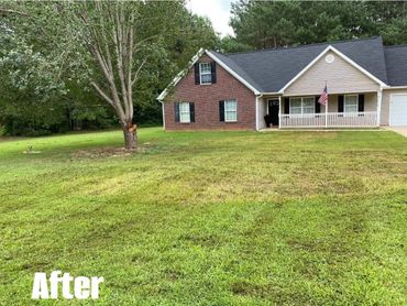 A clean and spacious front yard of a suburban house with a tree and an American flag.