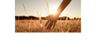Hand grazing tall grass in sunset light.