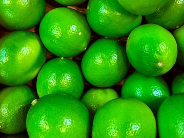 Limones verdes frescos agrupados.