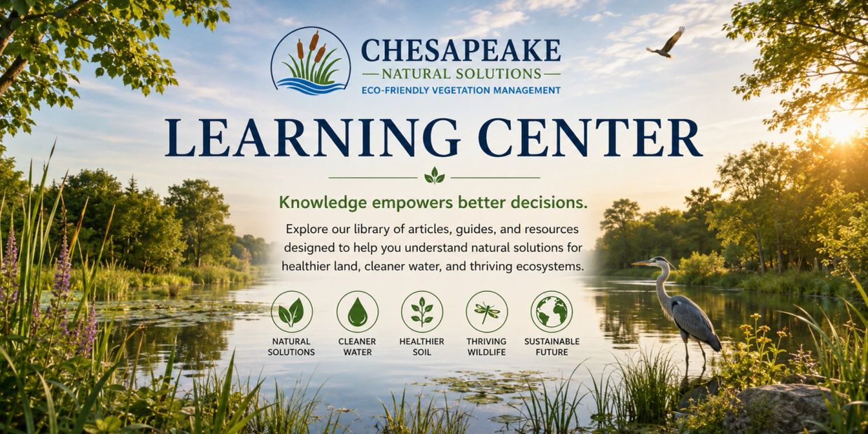 Peaceful river scene promoting Chesapeake Natural Solutions Learning Center.
