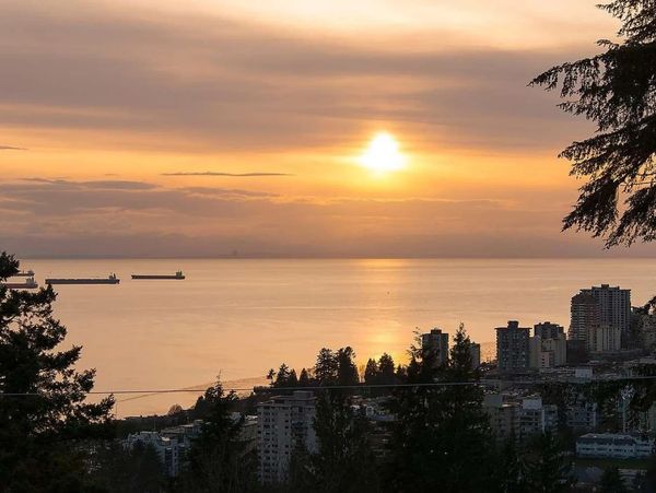 Sunset over a city by the water with ships and trees.