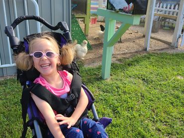 Child in a wheelchair interacting with chickens during a speech therapy session.