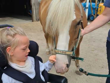 Child in a wheelchair interacting with a horse during a speech therapy session.