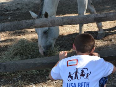 Child interacting with a horse during a speech therapy session.