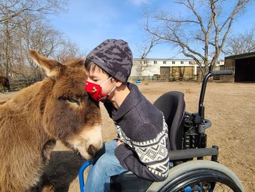 Client interacting with a miniature donkey during a speech therapy session incorporating animals.