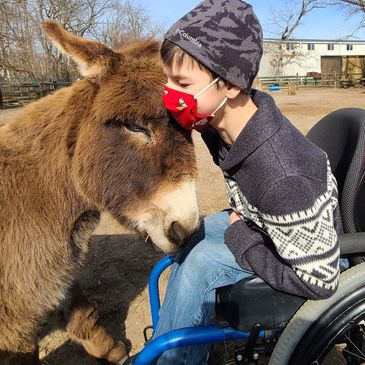 Young man in a wheelchair hugs a miniature donkey during a speech therapy session.