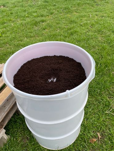 Extract 5 pounds of Compost
