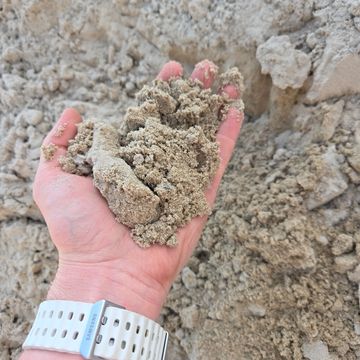 Hand holding coarse, sandy soil with a white wristwatch visible.