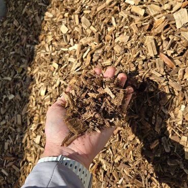 Hand holding a pile of wood chips in a sunny outdoor setting.