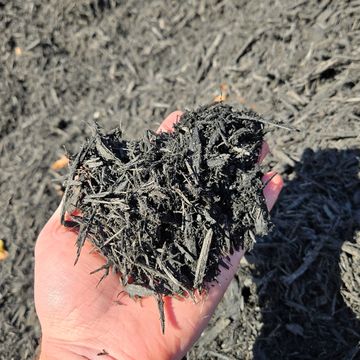Bulk double-shredded black mulch—higher quality and better value than big box store bags.