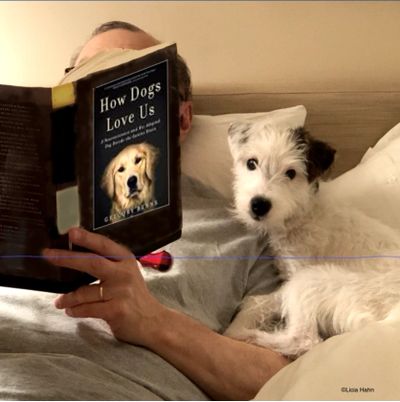 Man reading "How Dogs Love Us"