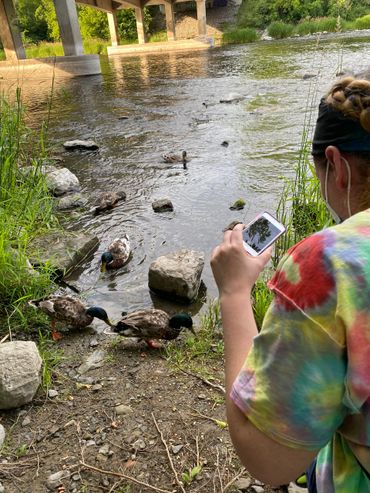 A client enjoying an outing in nature and taking photos of ducks at a neaby park