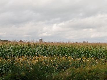 Country setting commonly seen around our homes