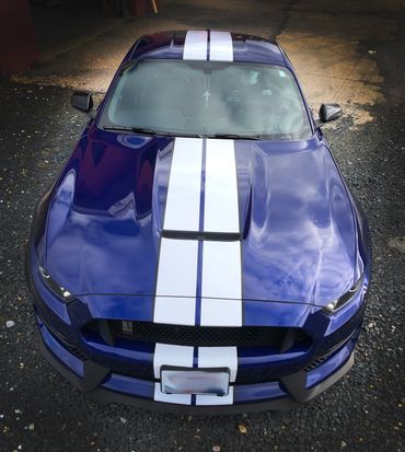 Mustang custom stripe package by The Wrap Center