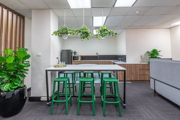 High breakout table in office setting, feature timber battens and greenery.
