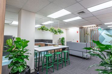 High breakout table in office setting, greenery and feature wall paint.