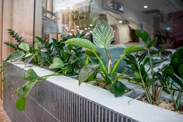 Shopfront Design with tiled planter box.