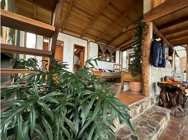 Cozy rustic interior with wooden furniture and lush indoor plants.